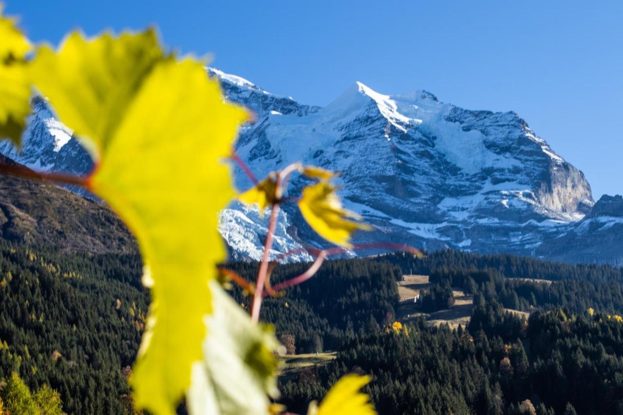 Chalet Aargovia Wengen Exterior photo