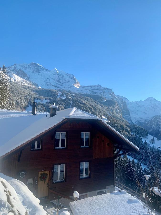 Chalet Aargovia Wengen Exterior photo